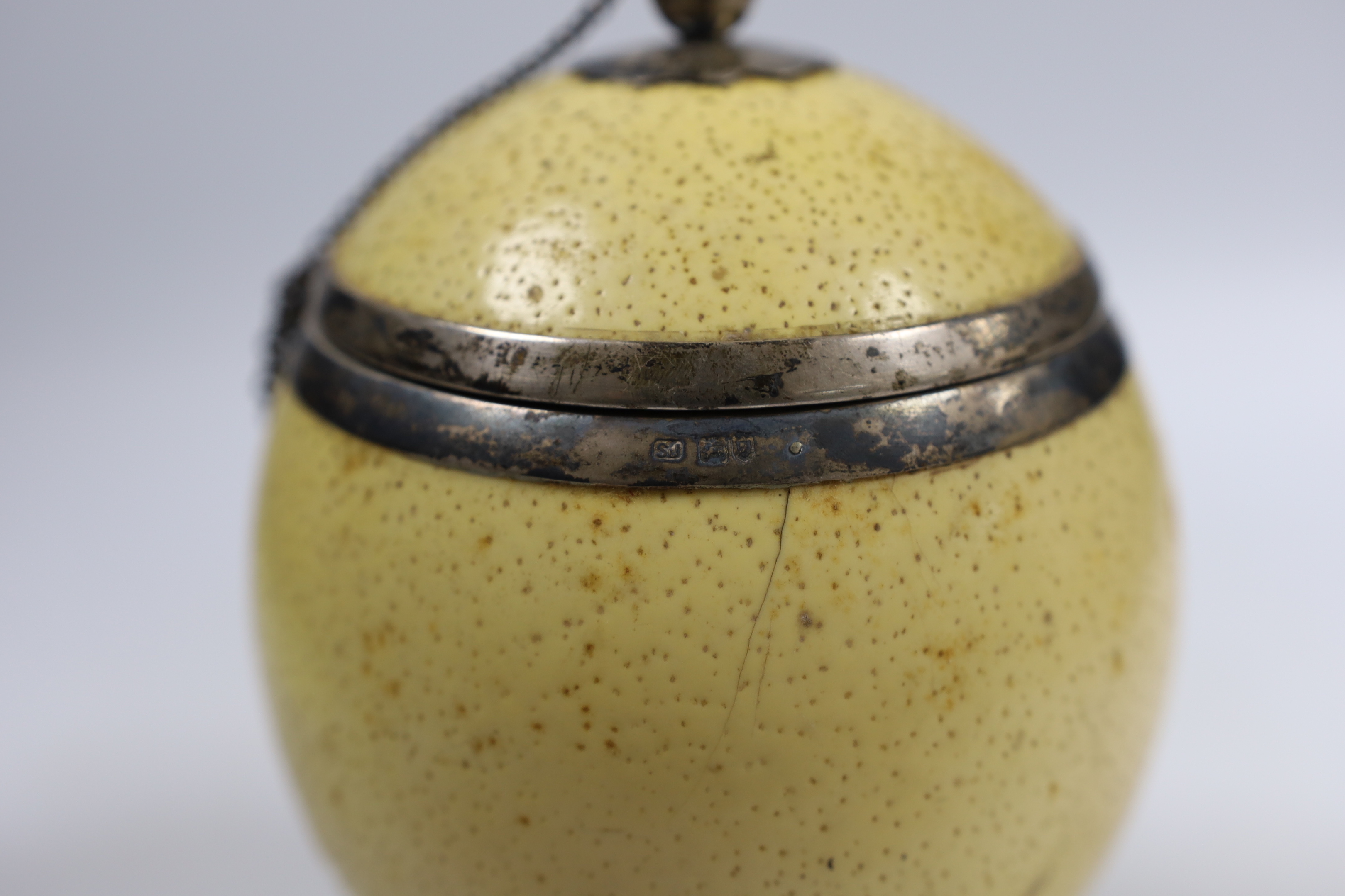 A cased Edwardian silver mounted ostrich egg, with silver mounted cover, Samuel Jacob, London, 1907, housed in a leather and watered silk case, 18.6cm.